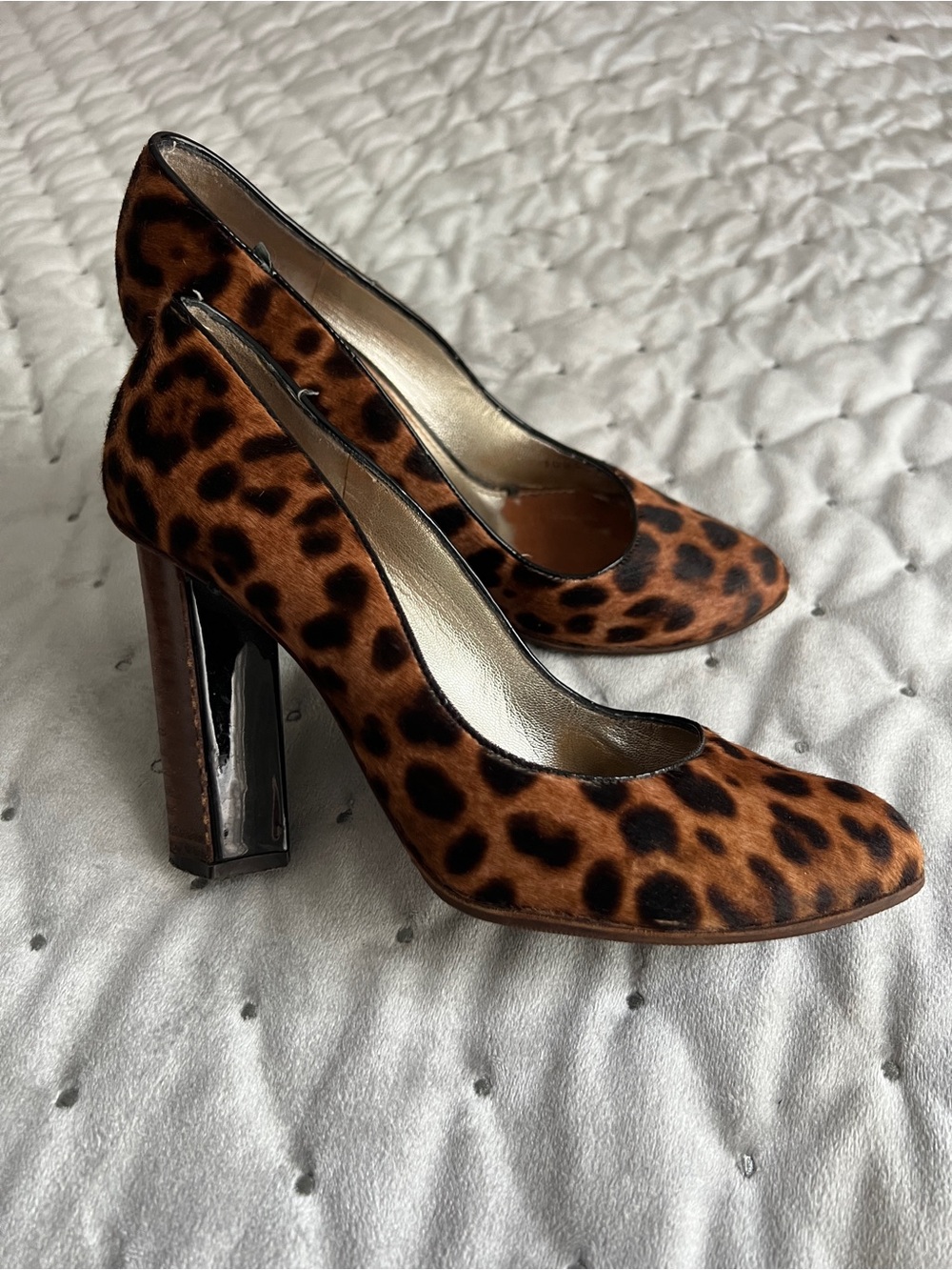 DOLCE & GABBANA Leopard Calf Hair Chunky Block Heel Pumps Luxury Runway